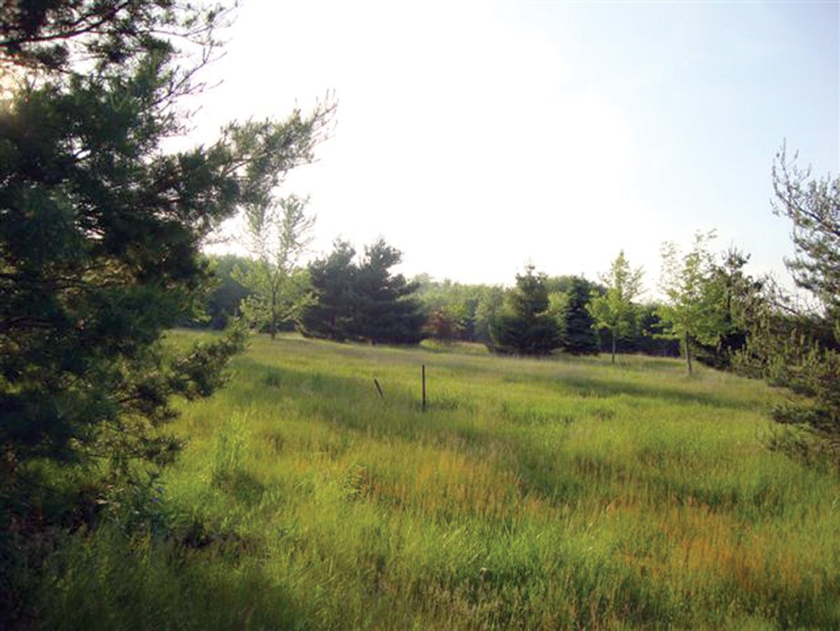 Property photo 5 - 10 Acre Building Site Real Estate Auction
